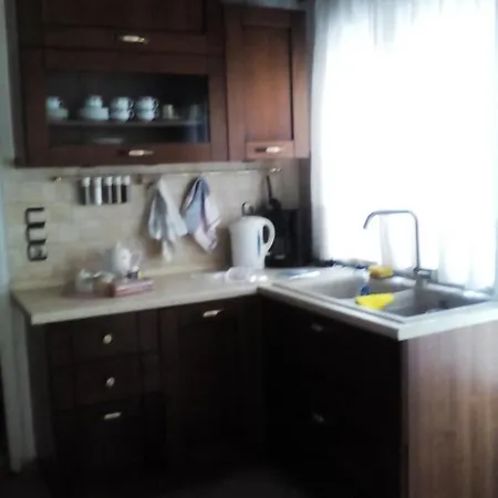 Themilena's House 1 公寓 新阿尔塔基